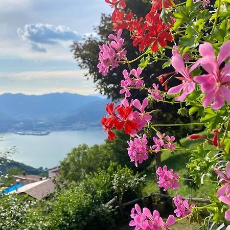 Casa Vacanze Il Pettirosso. Pisogne Extérieur photo