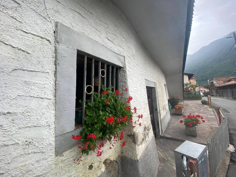 Casa Vacanze Il Pettirosso. Pisogne Extérieur photo