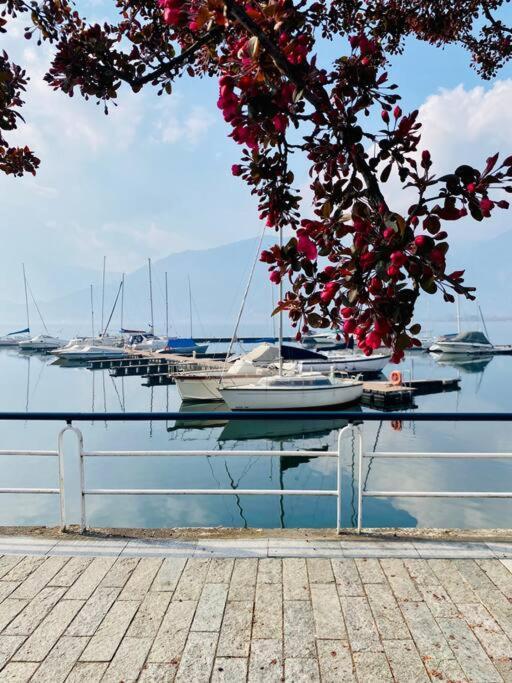 Casa Vacanze Il Pettirosso. Pisogne Extérieur photo