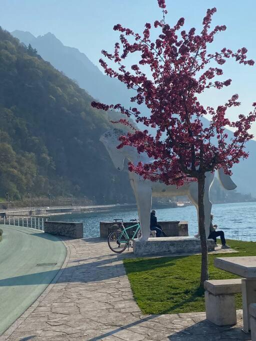 Casa Vacanze Il Pettirosso. Pisogne Extérieur photo