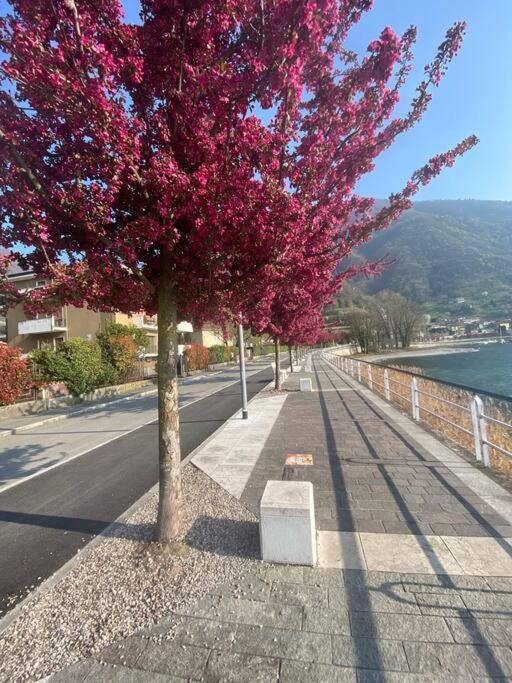 Casa Vacanze Il Pettirosso. Pisogne Extérieur photo