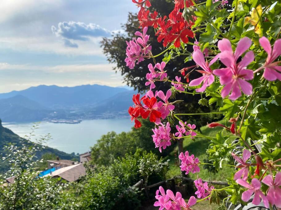 Casa Vacanze Il Pettirosso. Pisogne Extérieur photo